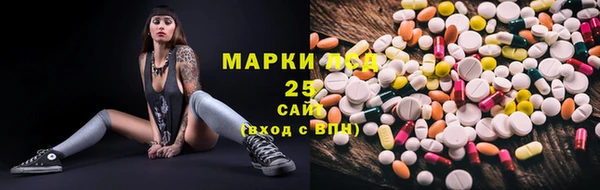 твердый Аркадак