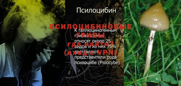 твердый Аркадак