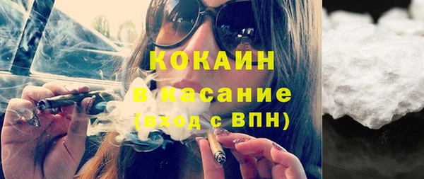 твердый Аркадак